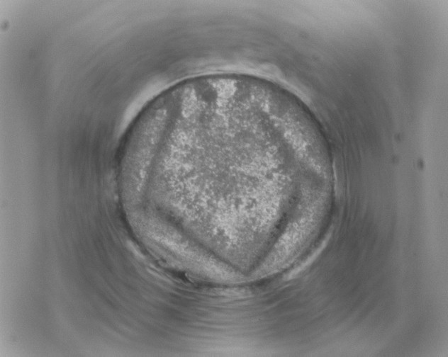 X0000073751501200608311922