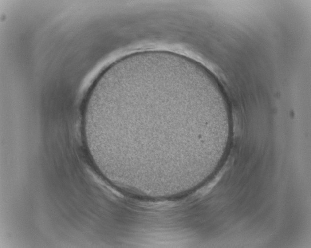 X0000073751502200608311922