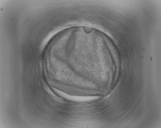 X0000073751503200608311922