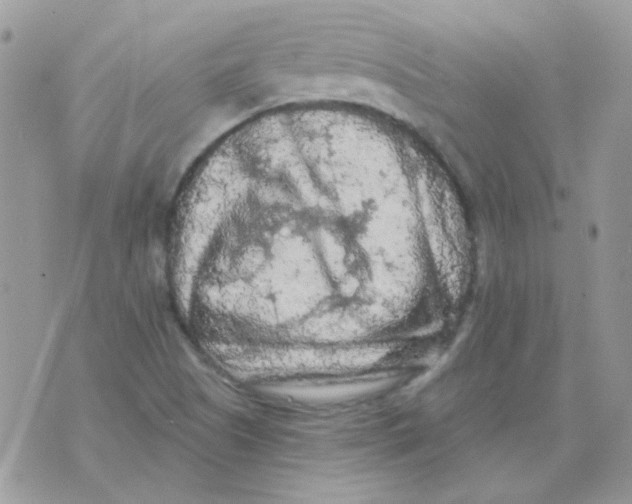 X0000073751505200608311922