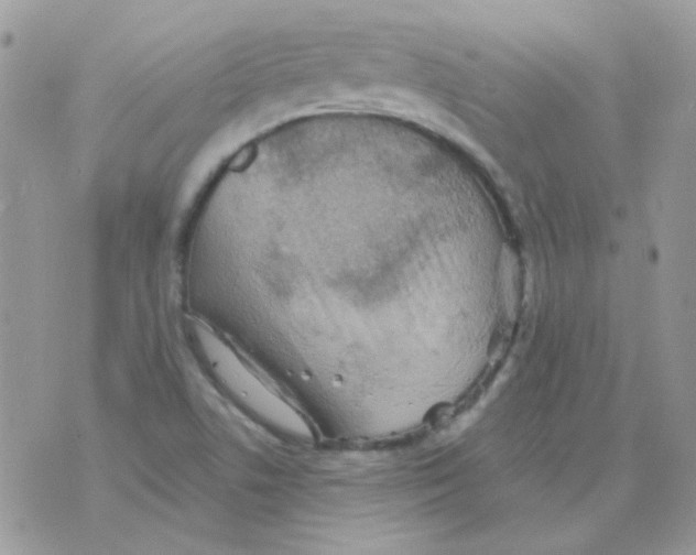 X0000073751506200608311922