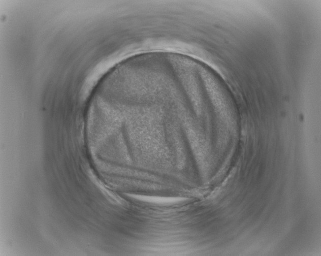 X0000073751507200608311922