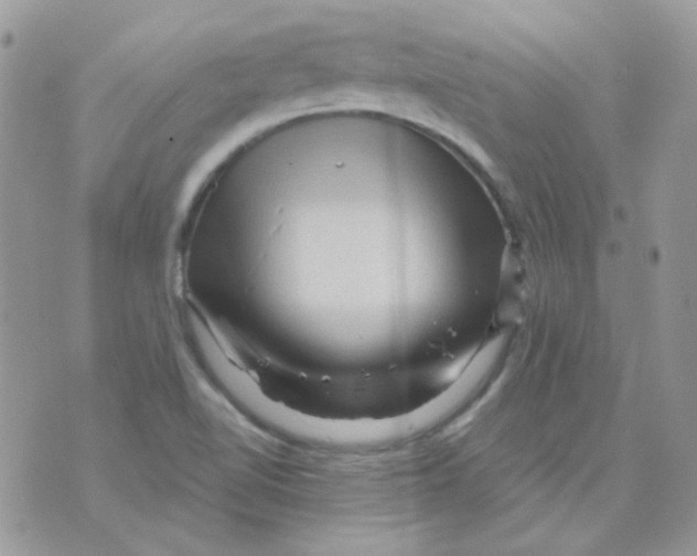 X0000073751510200608311922