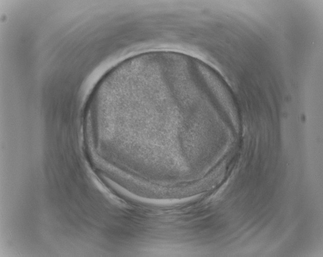 X0000073751511200608311922