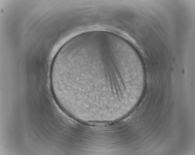 X0000073751512200608311922