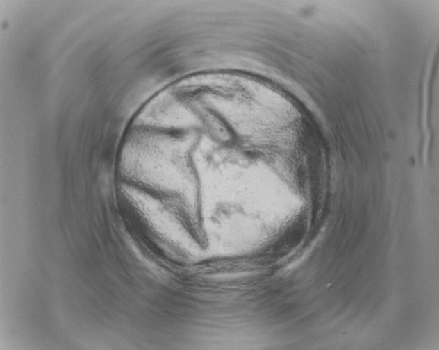 X0000073751513200608311922