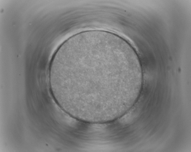 X0000073751514200608311922