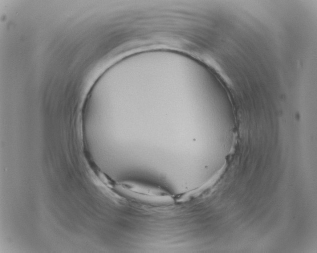 X0000073751516200608311922