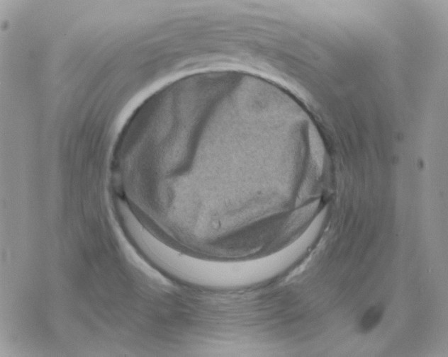 X0000073751518200608311922