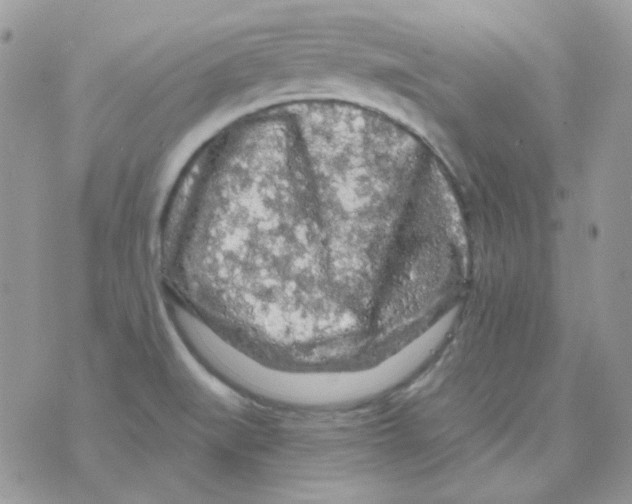 X0000073751519200608311922