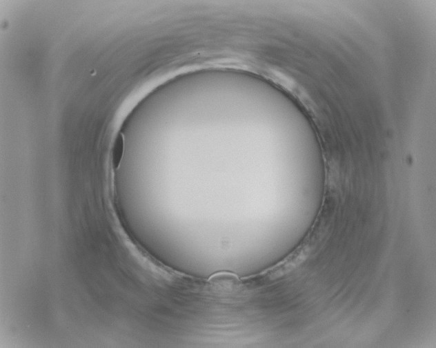 X0000073751520200608311922