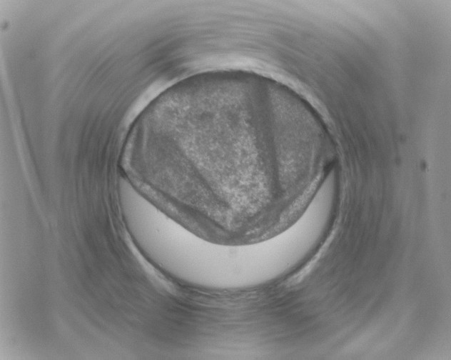 X0000073751521200608311922