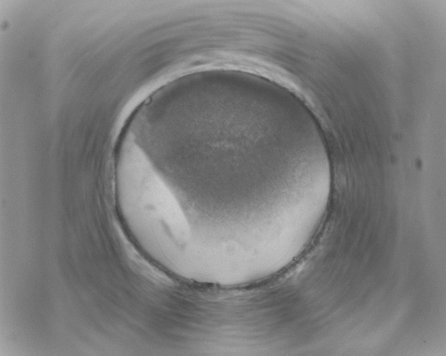 X0000073751522200608311922