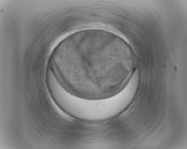 X0000073751523200608311922