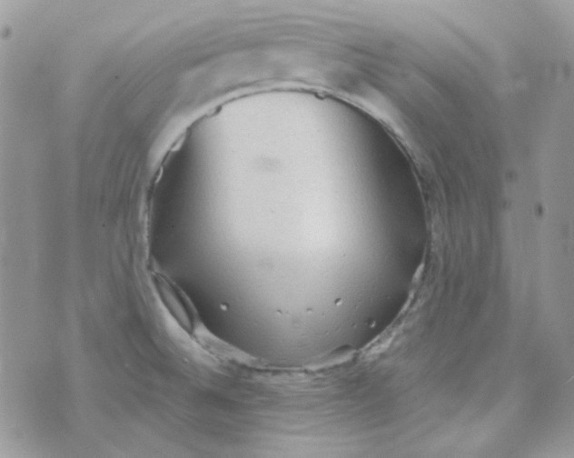 X0000073751524200608311922