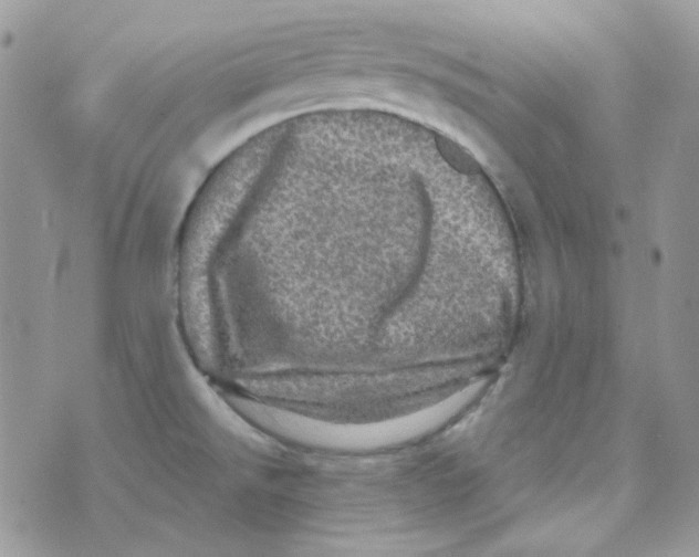 X0000073751526200608311922