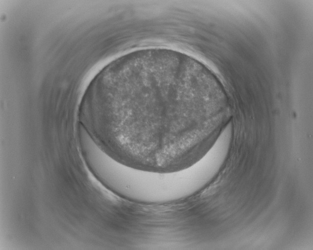 X0000073751527200608311922