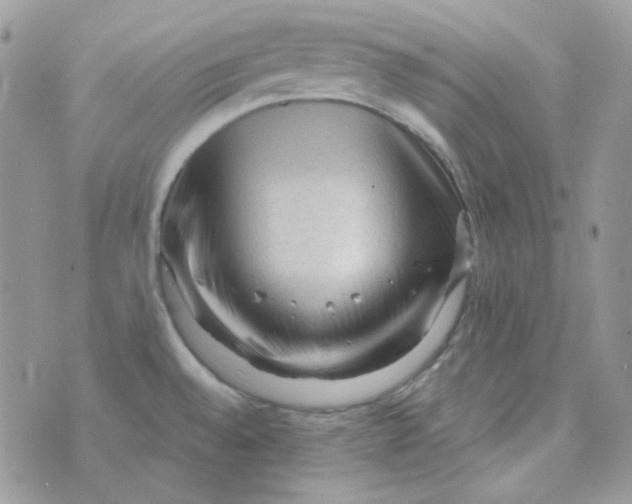 X0000073751528200608311922