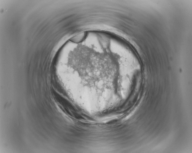 X0000073751529200608311922