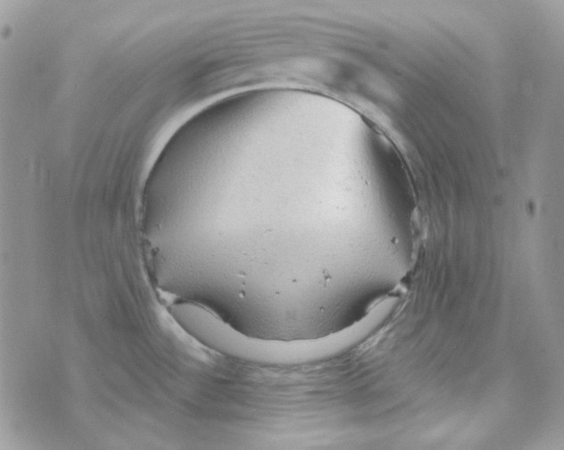 X0000073751532200608311922