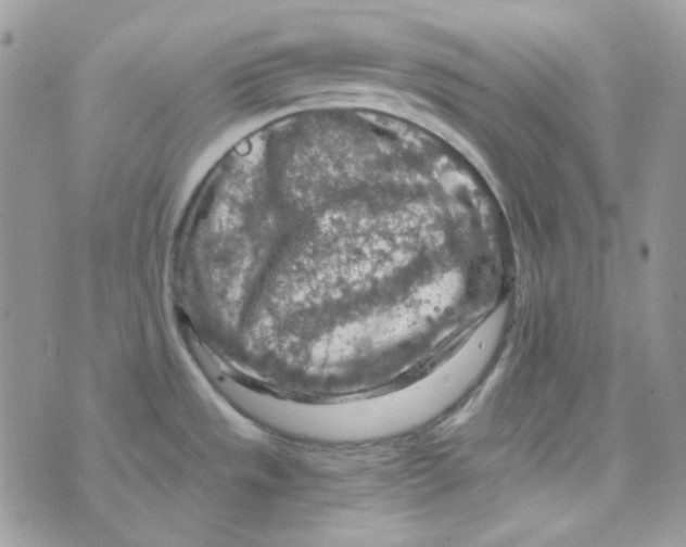 X0000073751533200608311922