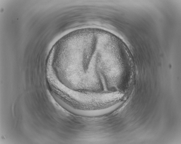 X0000073751534200608311922