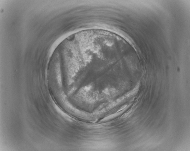 X0000073751535200608311922