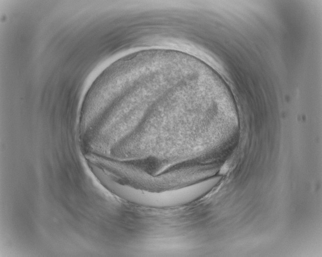 X0000073751536200608311922