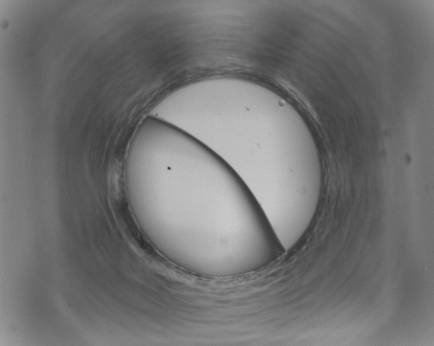 X0000073760026200608031121