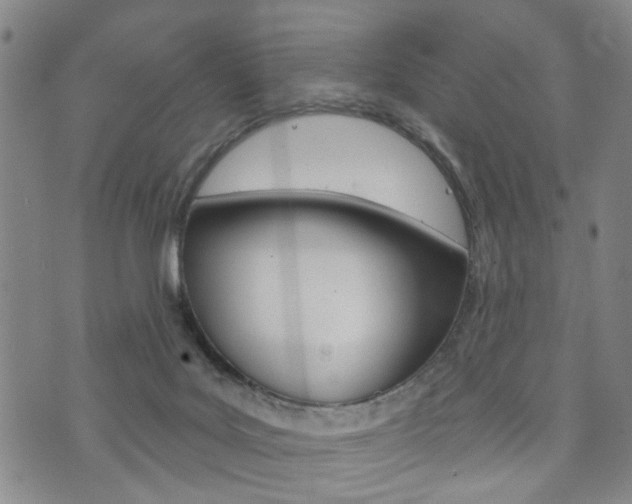 X0000073760027200608031121