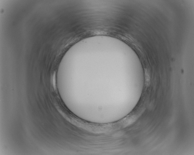 X0000073760028200608031121