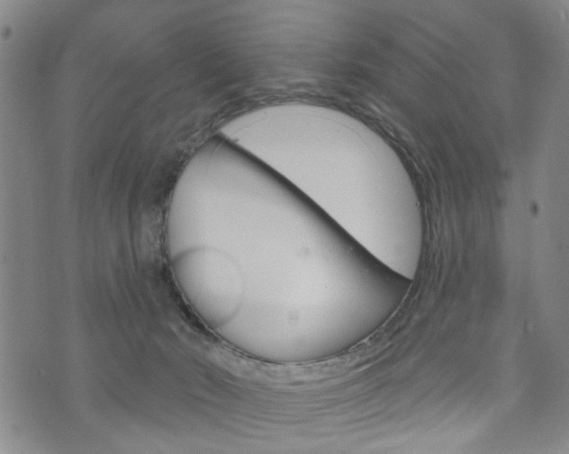 X0000073760030200608031121