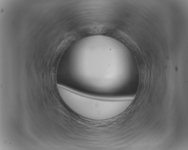 X0000073760035200608031121