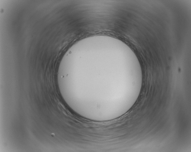 X0000073760039200608031121