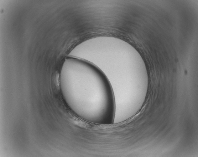 X0000073760041200608031121