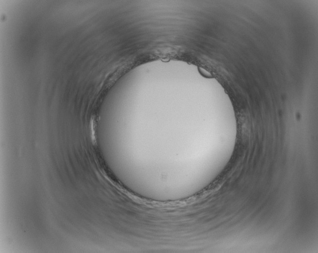 X0000073760042200608031121