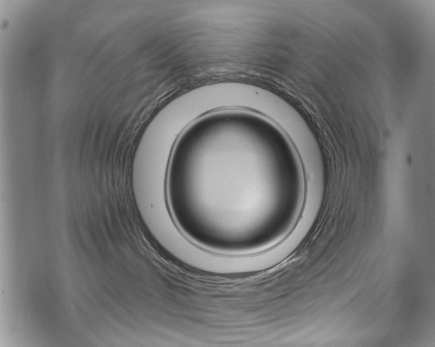 X0000073760048200608031121