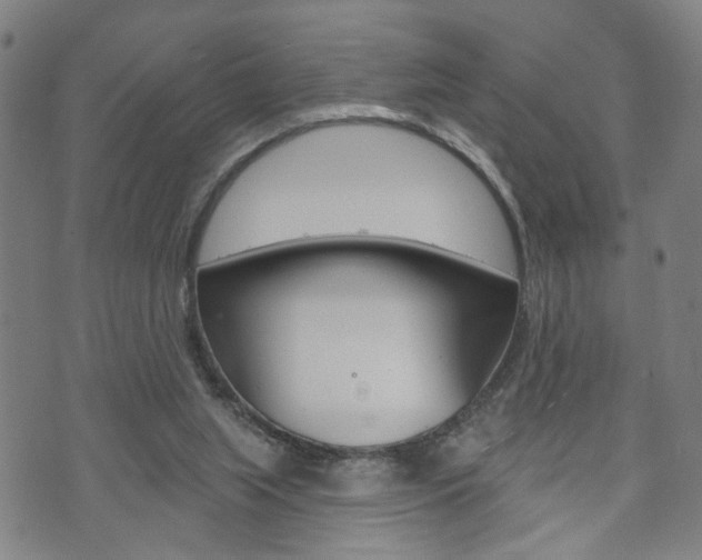 X0000073760063200608031121