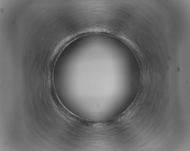 X0000073760064200608031121