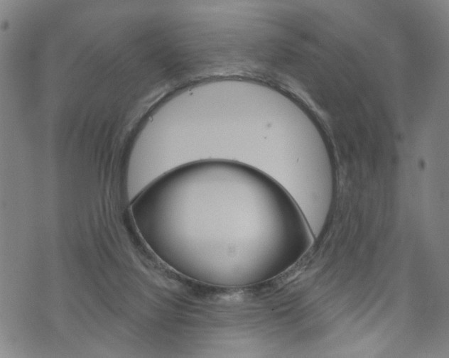 X0000073760068200608031121