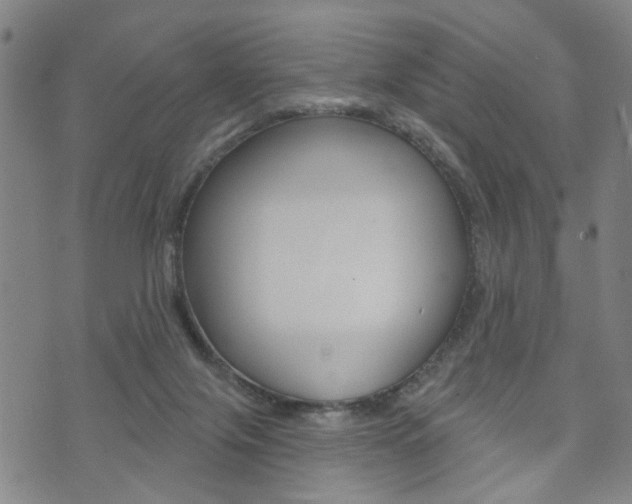 X0000073760071200608031121