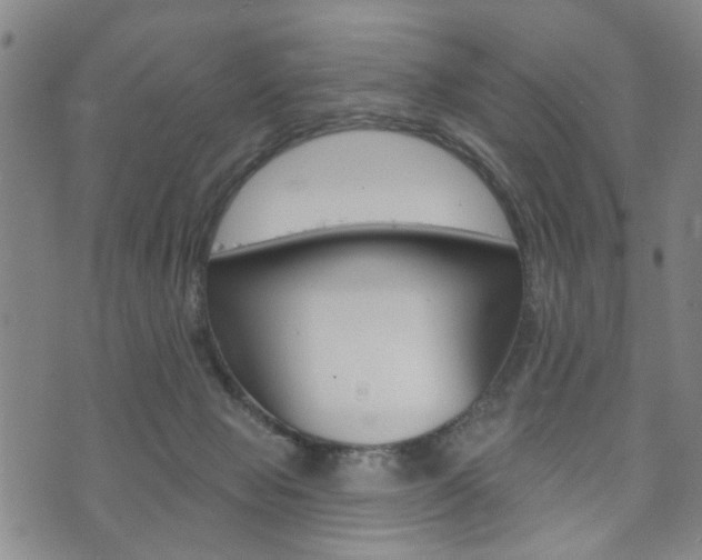 X0000073760077200608031121