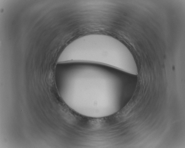 X0000073760079200608031121