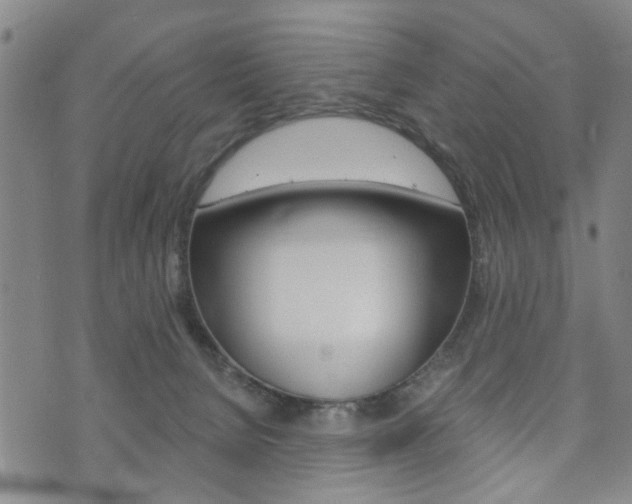 X0000073760080200608031121