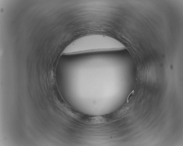 X0000073760087200608031121