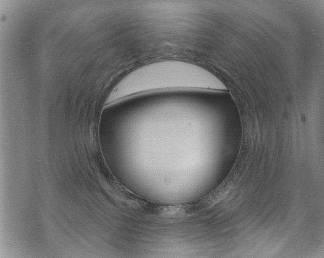 X0000073760088200608031121