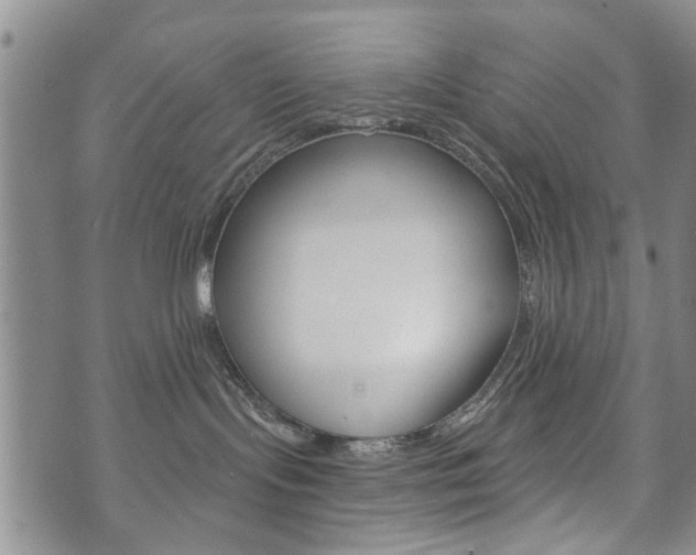 X0000073760095200608031121