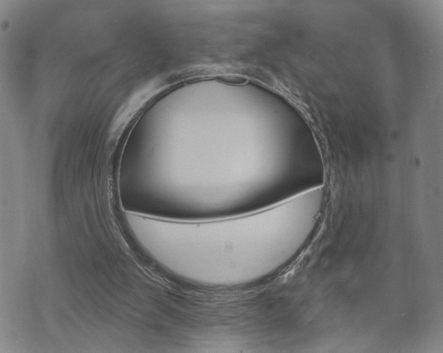 X0000073760103200608031120