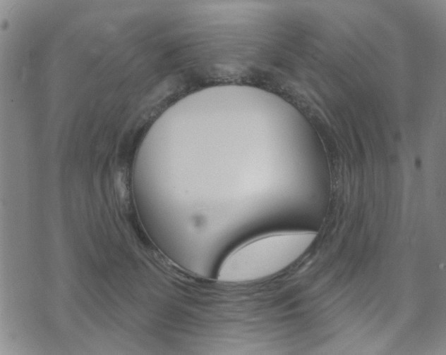X0000073760131200608031120