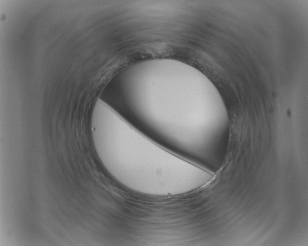 X0000073760132200608031120